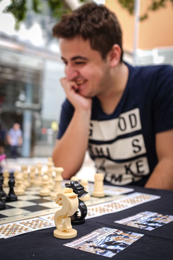 Le dragon - un set de deux nouvelles pièces pour une partie d'échecs - 9a5b8166c4dfb4634a915aaaf3383ae2