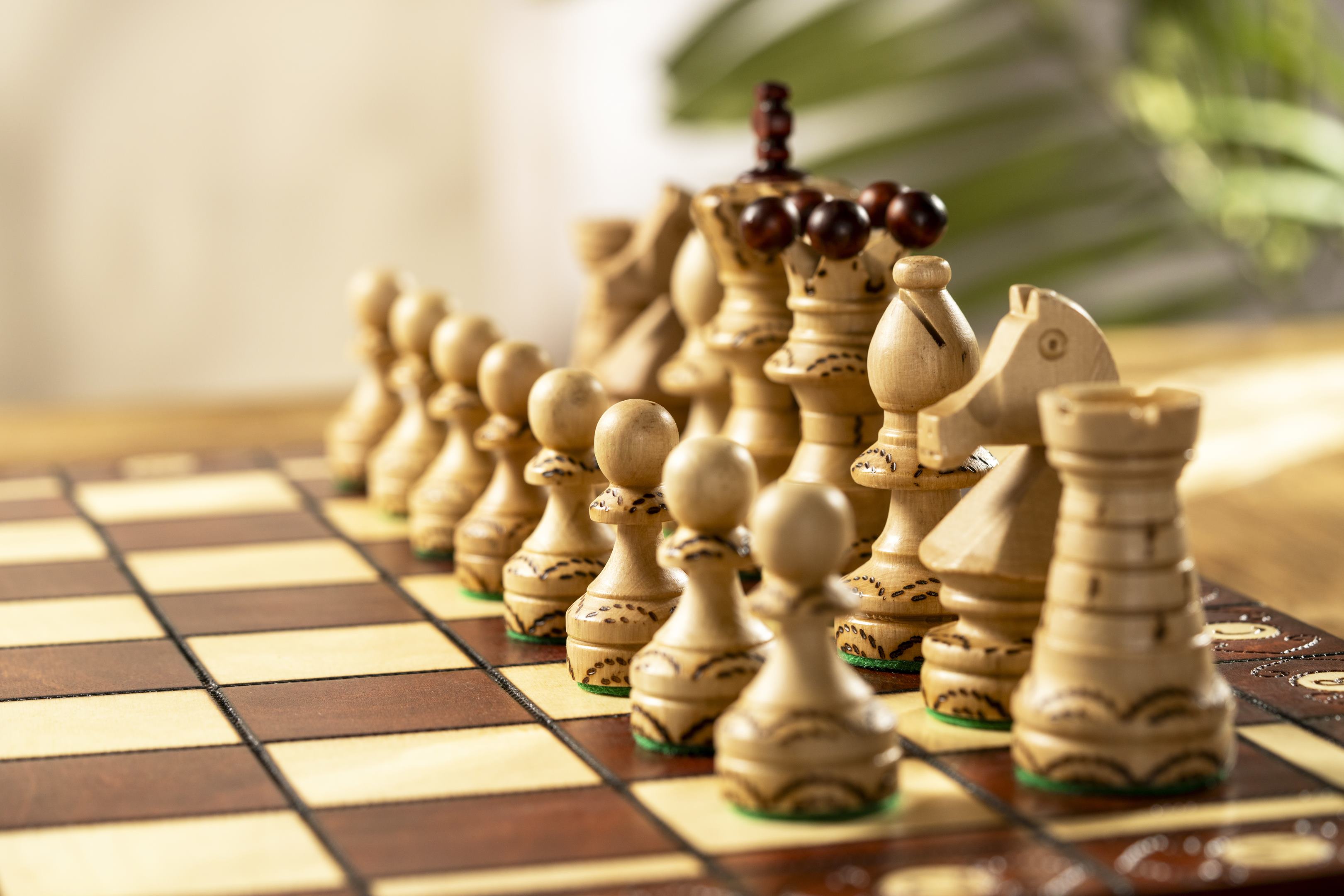 Jeu d'échecs SENATEUR en bois de charme, de taille moyenne (41 x 41cm) - Ensemble Complet - bc2ba1e23794f52ca3eca38665a3fec5