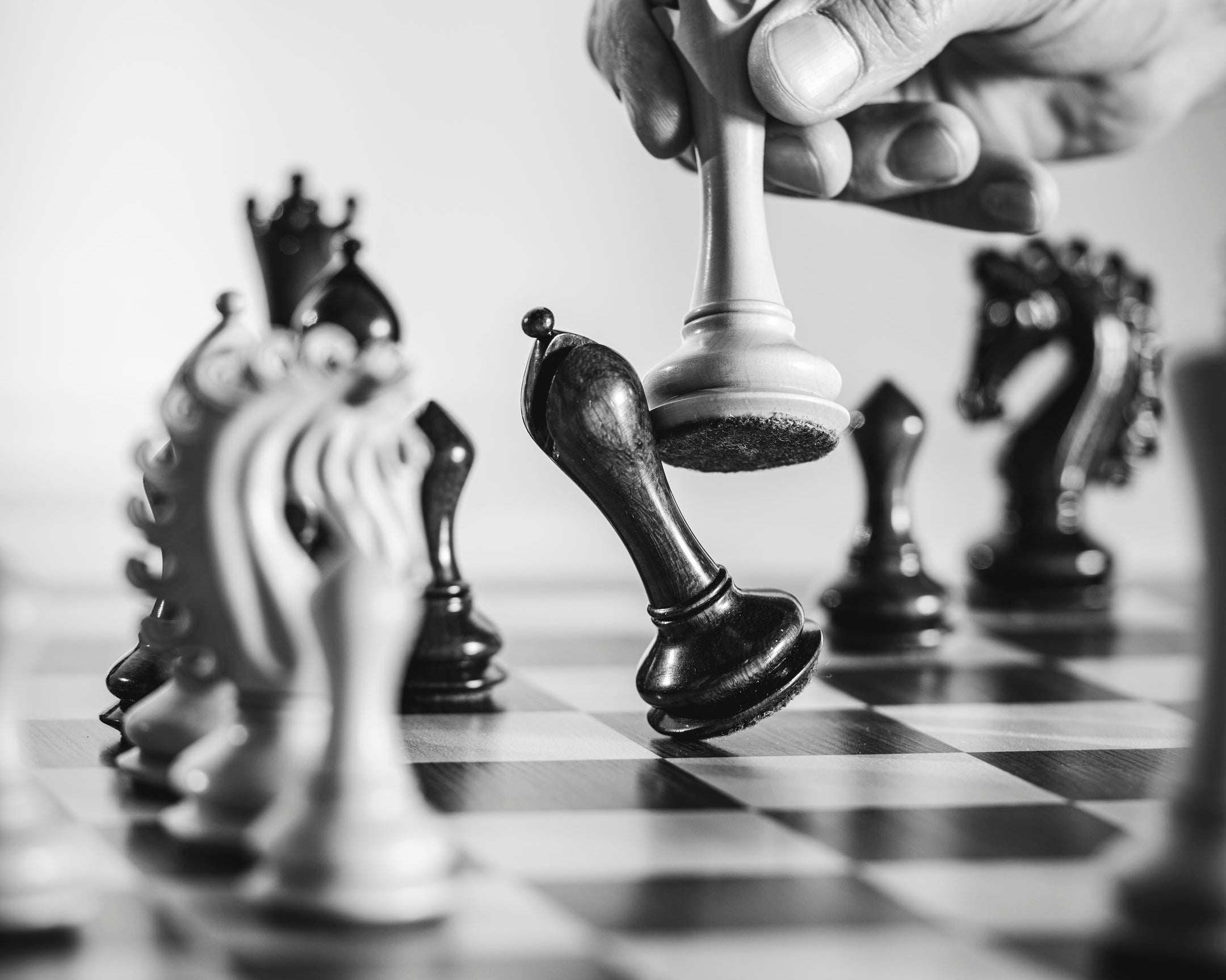 3ec017a6db142839953d316f14db27a4