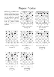 La prise de décision dynamique aux échecs, de Boris Gelfand (édition brochée)