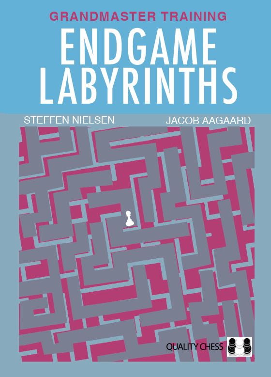 Labyrinthes de fin de partie (Broché) - Labyrinthes de fin de partie (Broché)