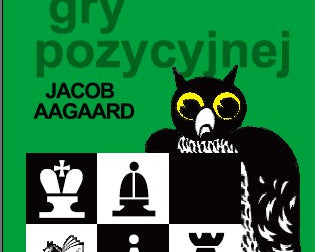 tajemnice-gry-pozycyjnej-jacob-aagaard-9788386407958.jpg